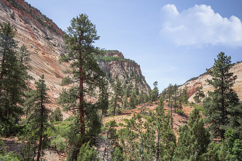 18 -ZION PARK.jpg